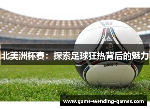 北美洲杯赛：探索足球狂热背后的魅力