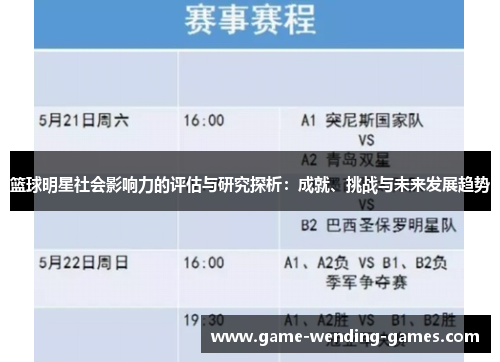 篮球明星社会影响力的评估与研究探析：成就、挑战与未来发展趋势