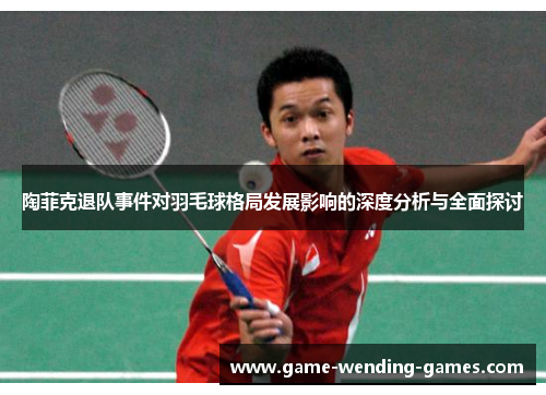 陶菲克退队事件对羽毛球格局发展影响的深度分析与全面探讨
